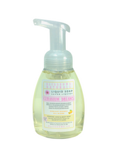 Load image into Gallery viewer, Apricot Kernel Oil Blend~Foaming Hand Soap~250 ml
