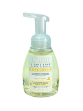 Load image into Gallery viewer, Apricot Kernel Oil Blend~Foaming Hand Soap~250 ml
