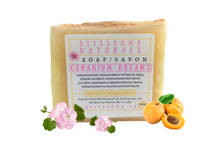 Load image into Gallery viewer, Apricot &amp; Mango Bar Soap~100 g
