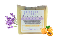 Load image into Gallery viewer, Apricot &amp; Mango Bar Soap~100 g
