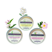 Load image into Gallery viewer, Ladies Clay Deodorant~30 g
