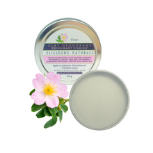 Load image into Gallery viewer, Ladies Clay Deodorant~60 g
